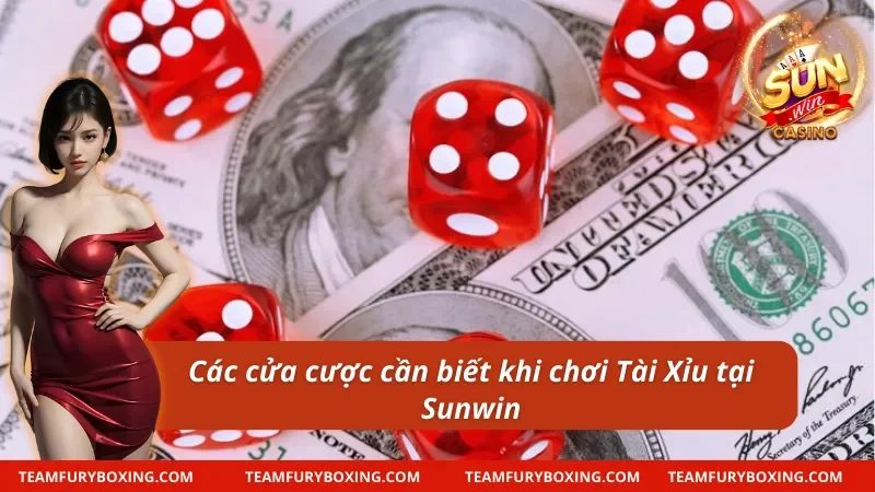 Cách chơi tài xỉu Sunwin với các dạng cược cơ bản