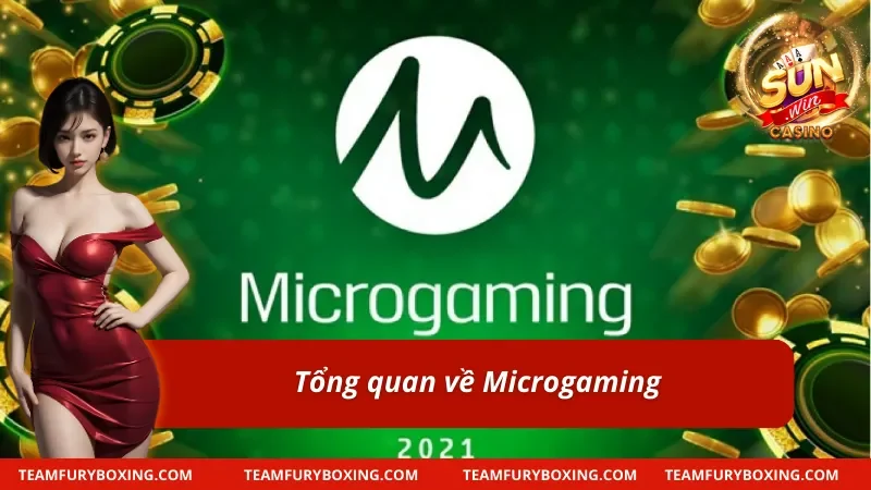 Đôi nét về nhà cung cấp cá cược Microgaming