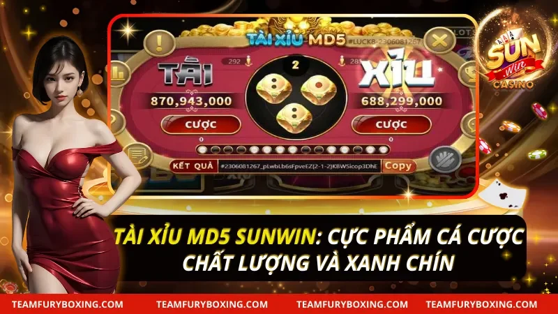 Tài Xỉu MD5 Sunwin: Cực Phẩm Cá Cược Chất Lượng 2 Tài Xỉu MD5
